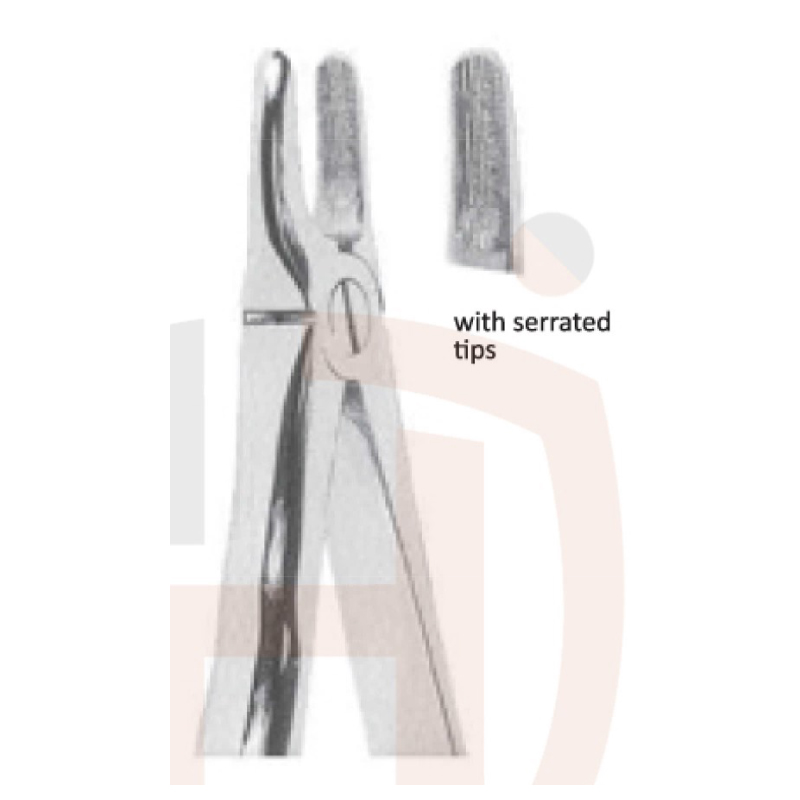 EXTRACTING FORCEPS With Anatomicall